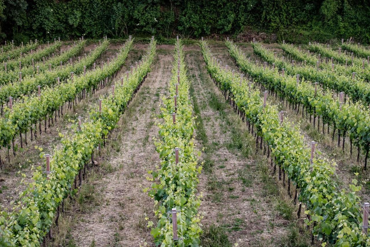 Borgo Baccile By Vini Fantini Hotel Crecchio Exterior photo